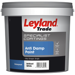 LeyLand Anti-Damp Paint